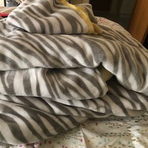 Teen/Young Adult Bedding